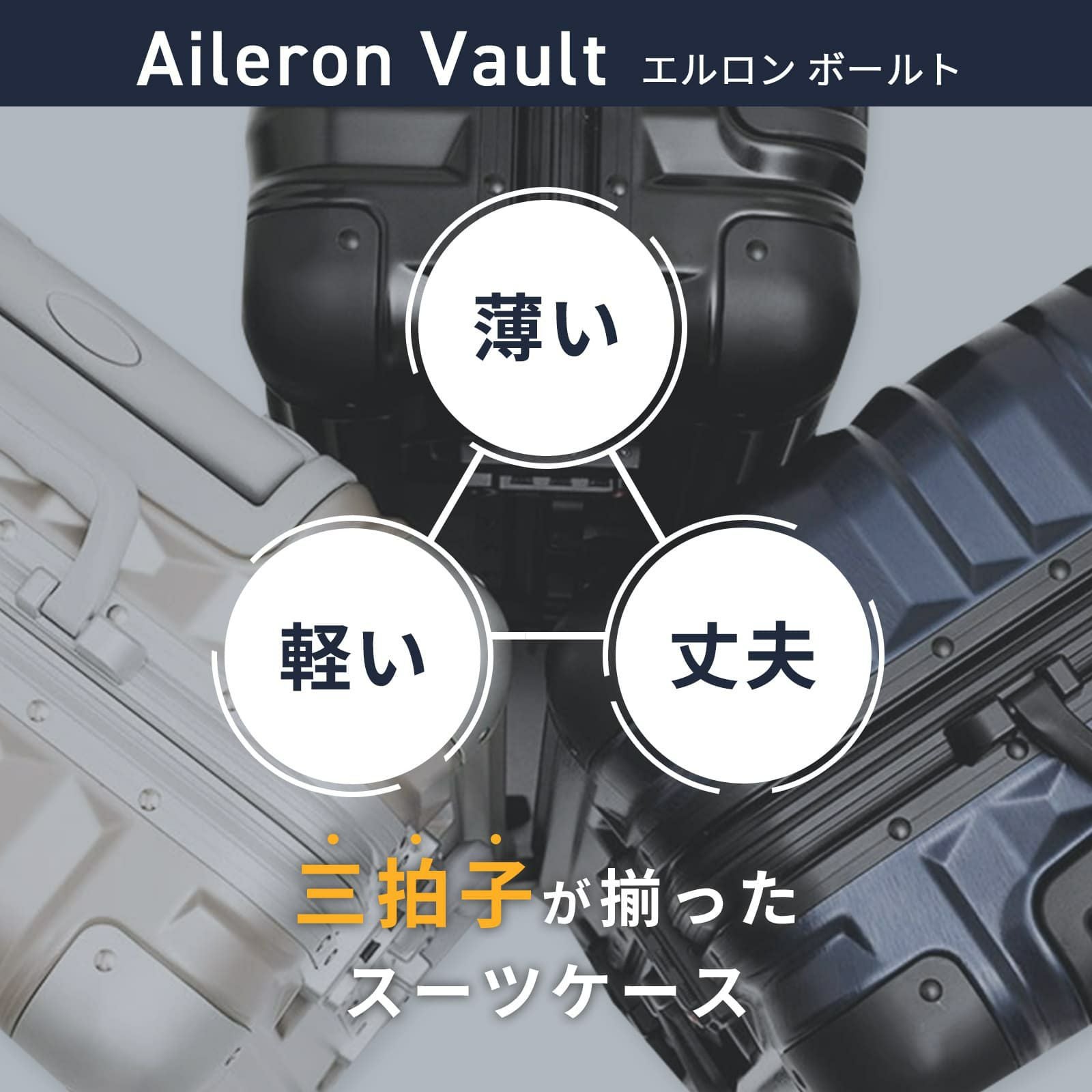 Aileron Vault 24インチ スーツケース Mサイズ エルロン ボールト 58L