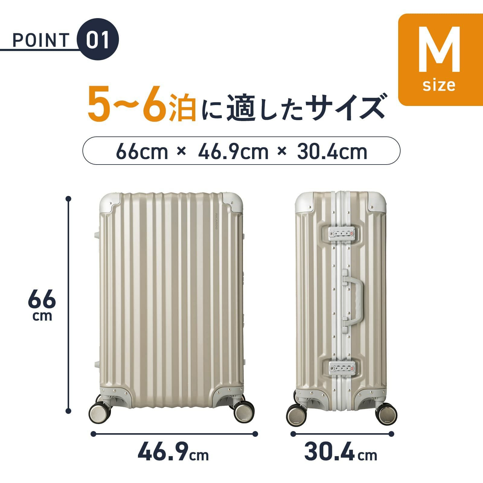 Aileron Vault 24インチ スーツケース Mサイズ エルロン ボールト 58L
