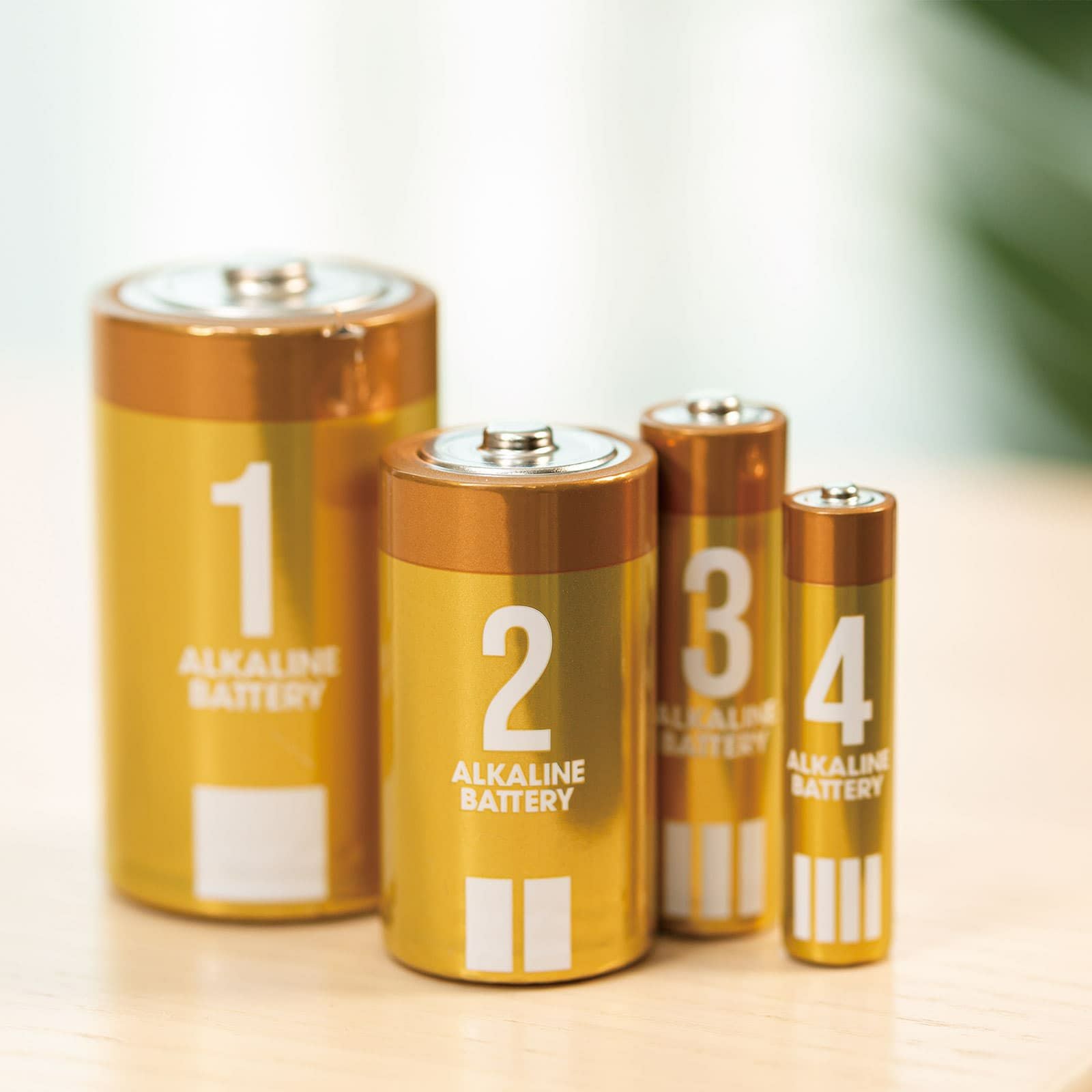 常備品 アルカリ乾電池単一形2本単三形10本単四形10本 単1単3単4 アルカリ乾電池 単1形 10本セット (2パック×5) | Multiverse マルチバース