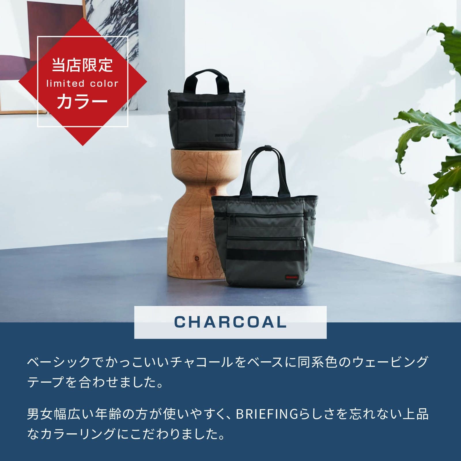 未使用　別注　BRIEFING　EVERYDAY TOTE ECO CANVAS 当店限定カラー】 EVERYDAY TOTE ECO CANVAS トートバッグ